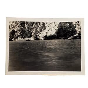 Vintage Black & White Photo 1940s Found Seal Island Ocean Animalcore Snapshot